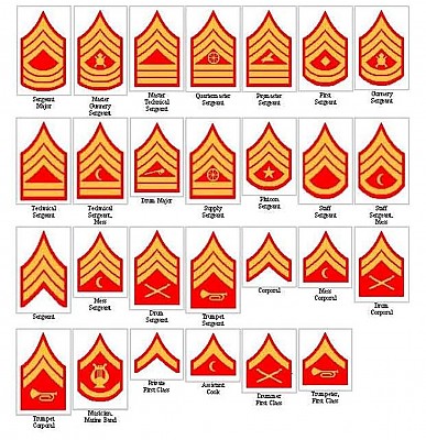 Marine Corps Rank Structure Chart