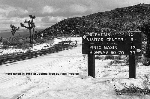29 Palms1961