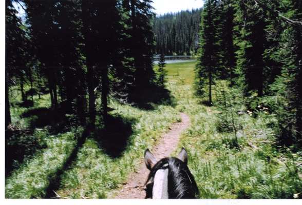 riding into Buck lake..6,400 elevation in the missions by montana in Members Gallery