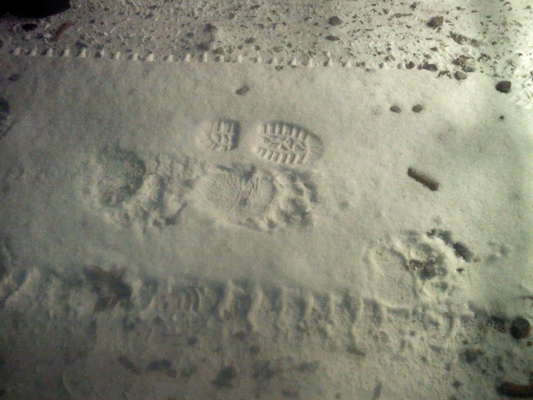 A Montana Grizz Track...with A Size 8 boot next to it...was three of them together . by montana in Members Gallery