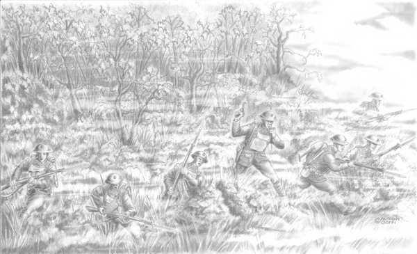 "into The Poppy Fields" Belleau Wood,france 1918