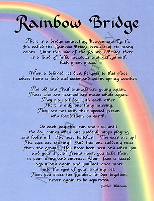 rainbow bridge