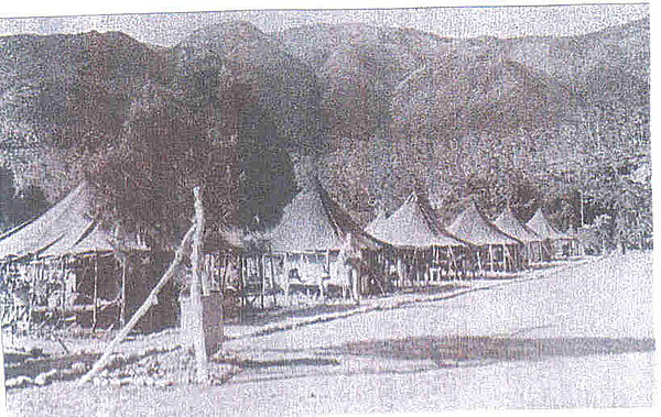 Camp Allard 1943